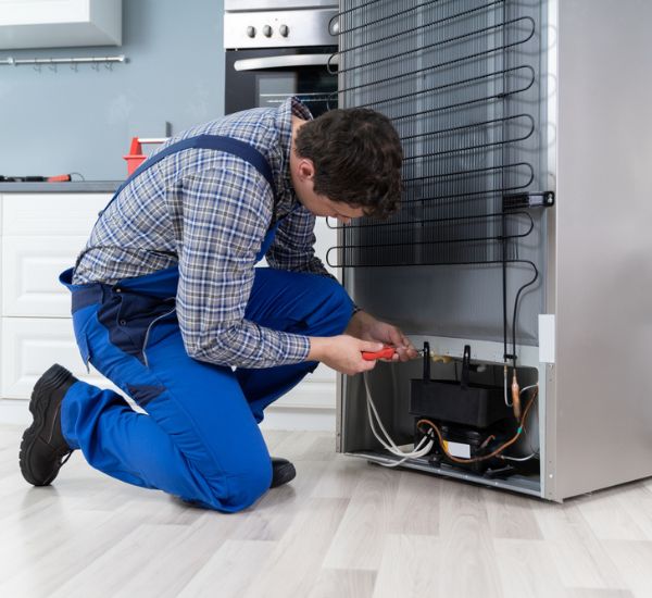 Fridge Repair